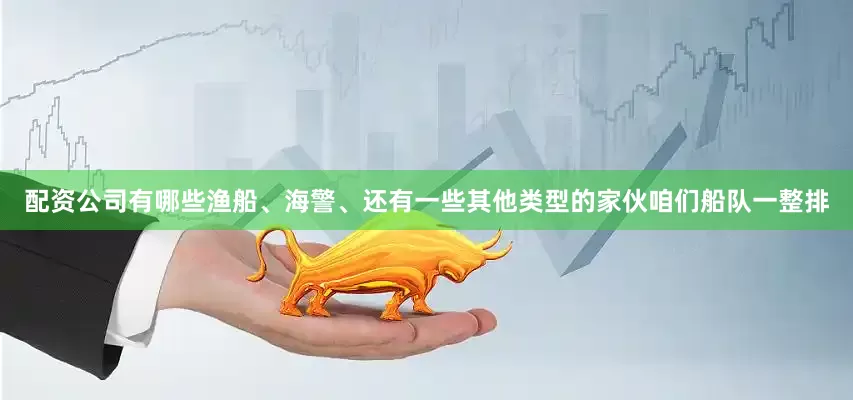 配资公司有哪些渔船、海警、还有一些其他类型的家伙咱们船队一整排
