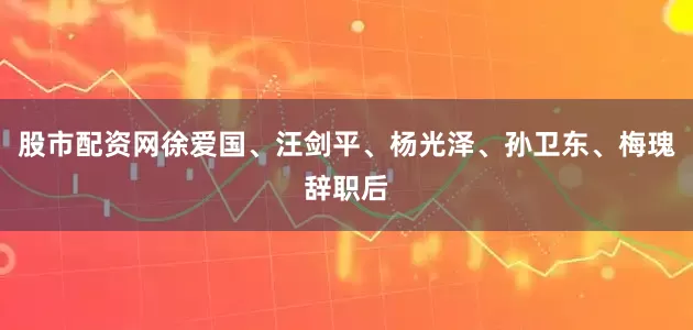 股市配资网徐爱国、汪剑平、杨光泽、孙卫东、梅瑰辞职后